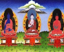 five buddha families