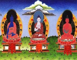 five buddha families